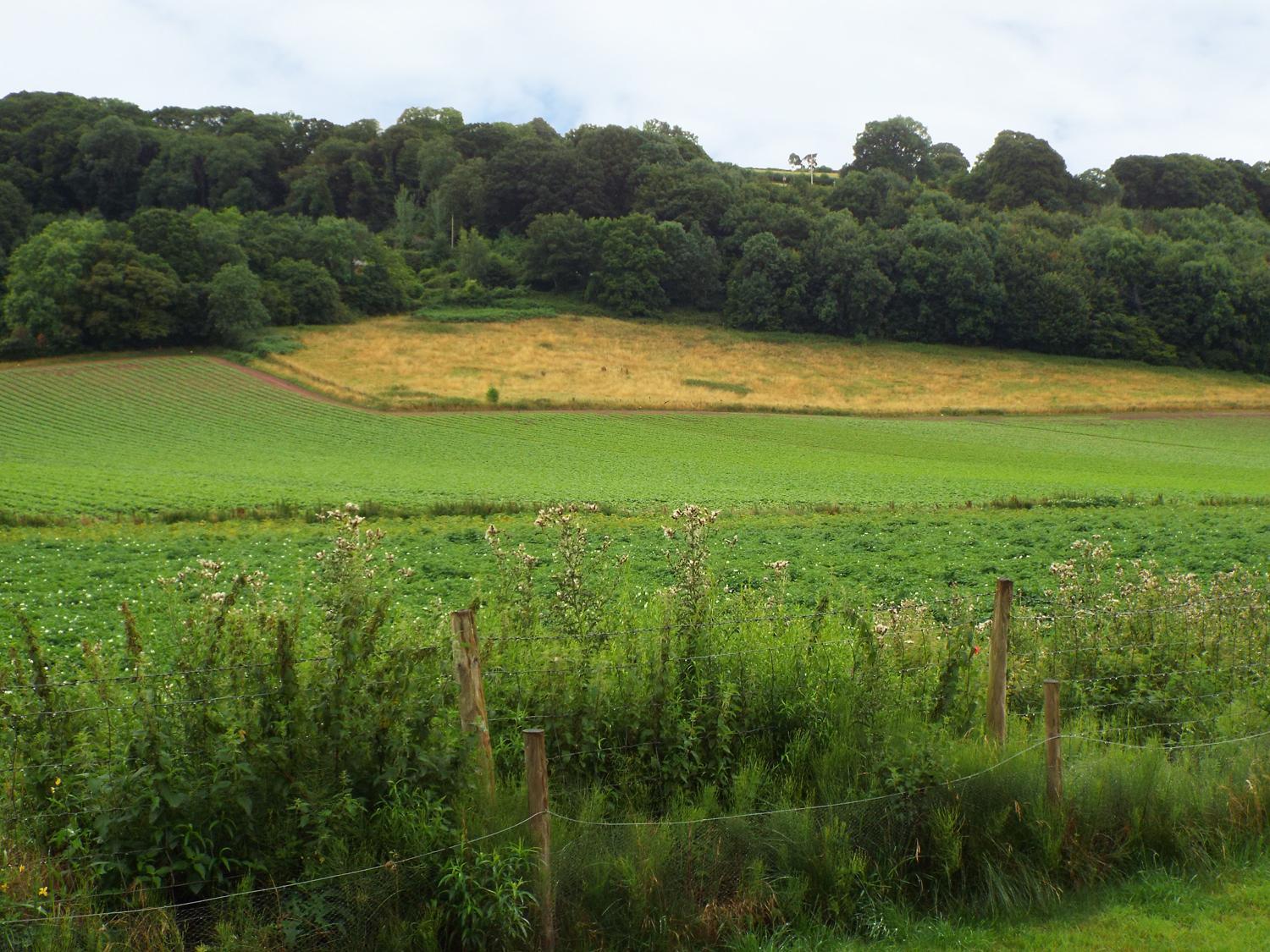 The Granary Villa Ross-on-Wye Bagian luar foto